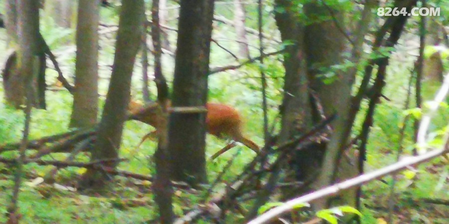 IMG_20250816_115140.jpg