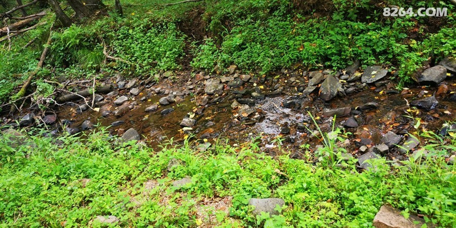 IMG_20250816_115921.jpg