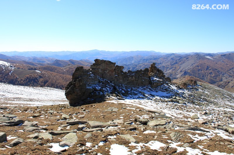 DPP_0082.JPG