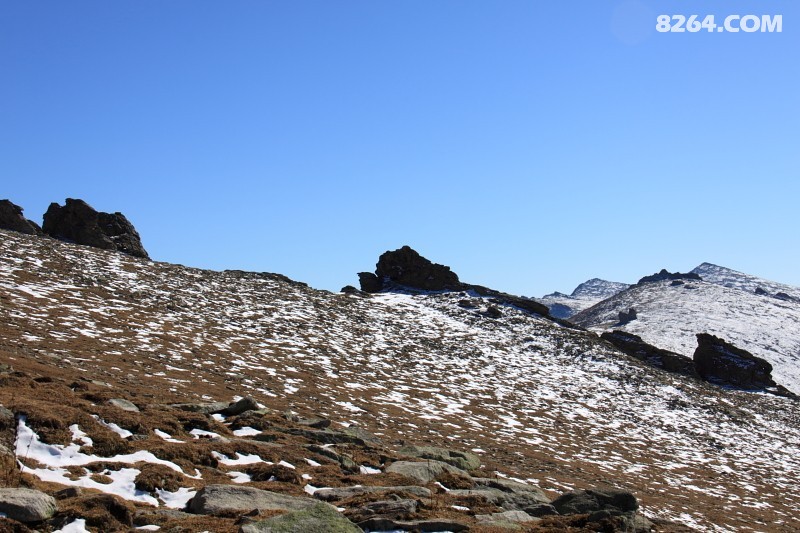 DPP_0090.JPG