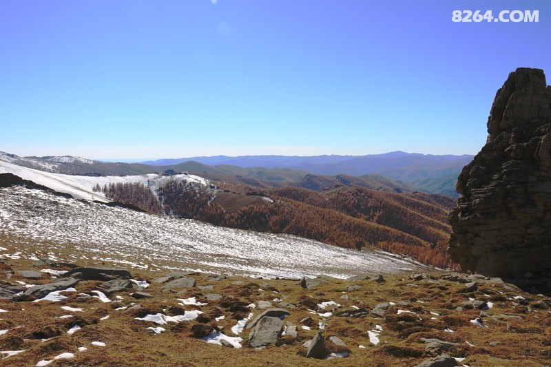 DPP_0092.JPG