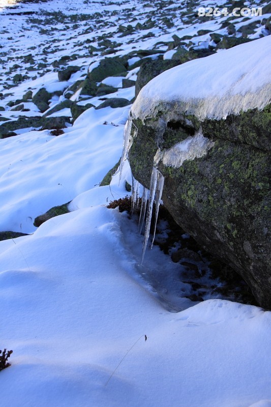 DPP_0113.JPG