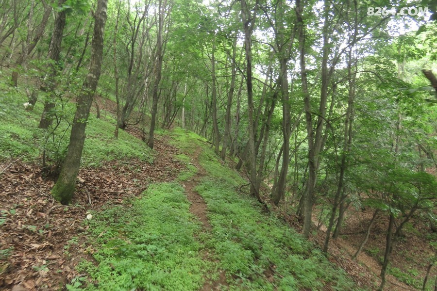 IMG_3529.jpg