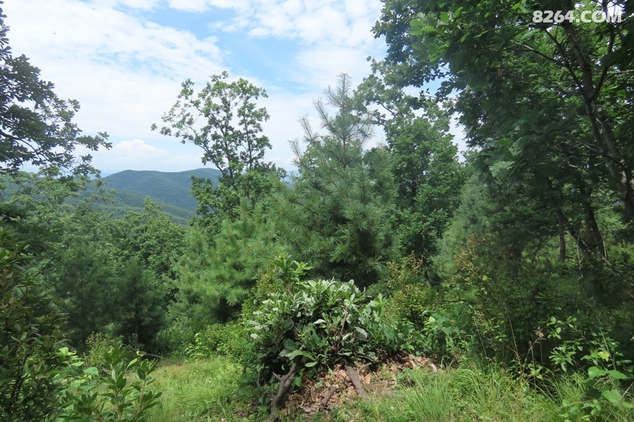 IMG_3547.jpg