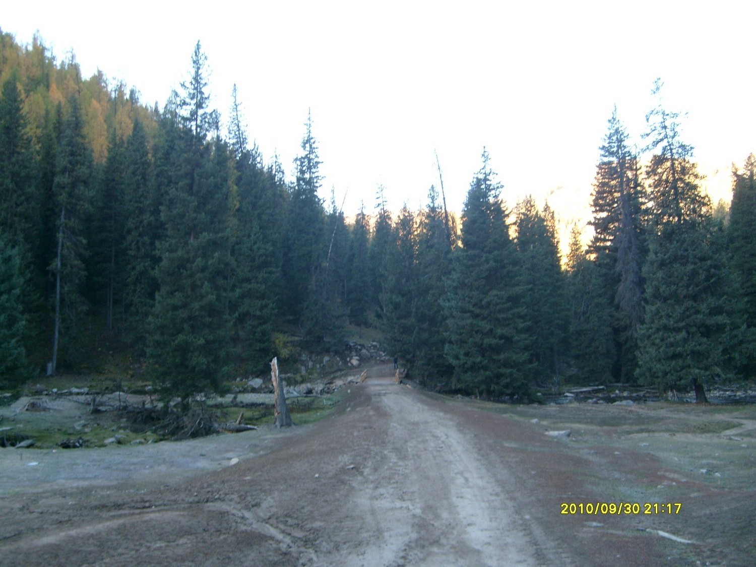S7301181.JPG