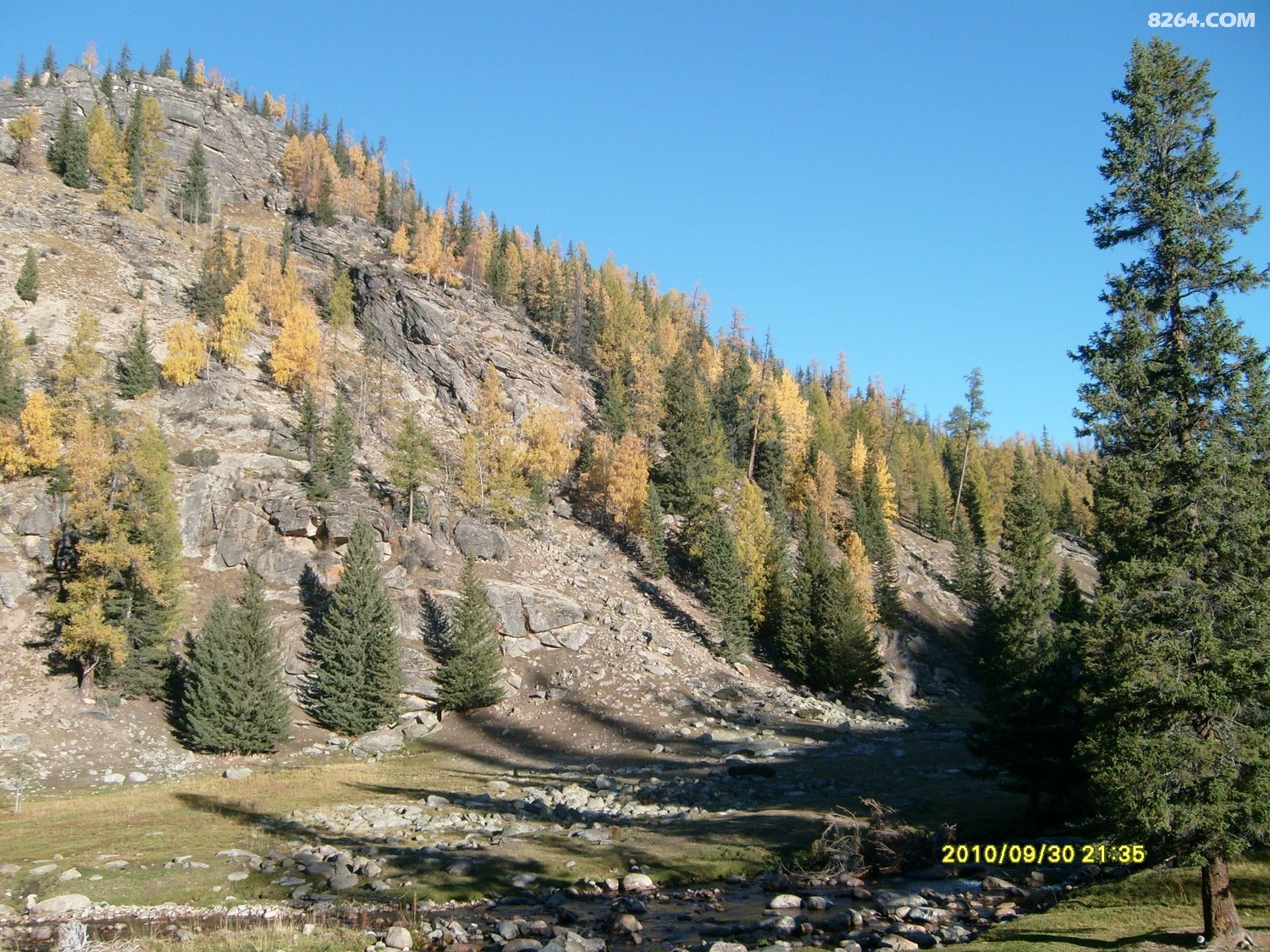 S7301186.JPG