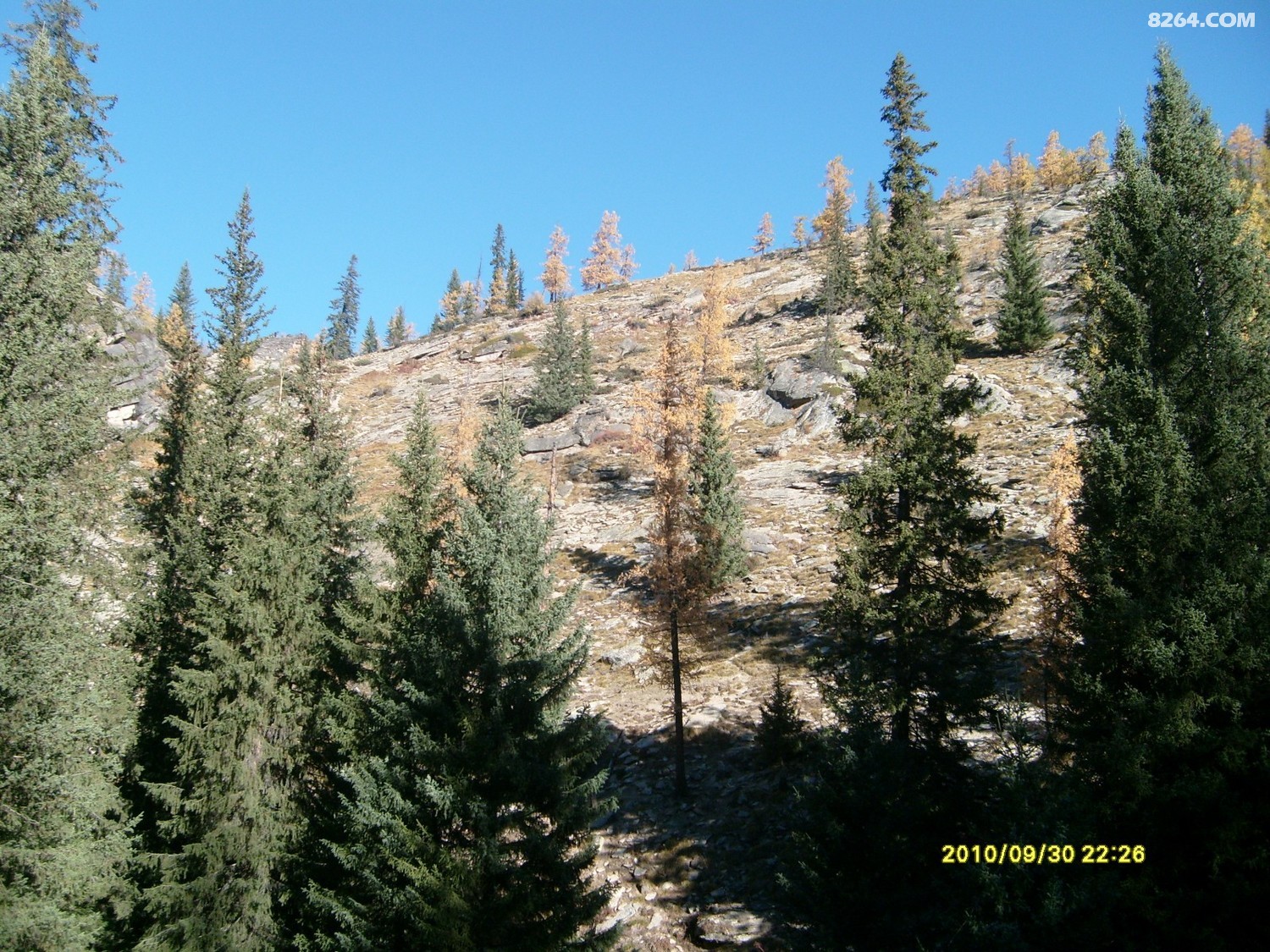S7301194.JPG