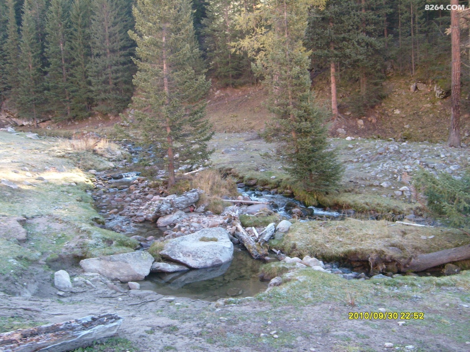 S7301195.JPG