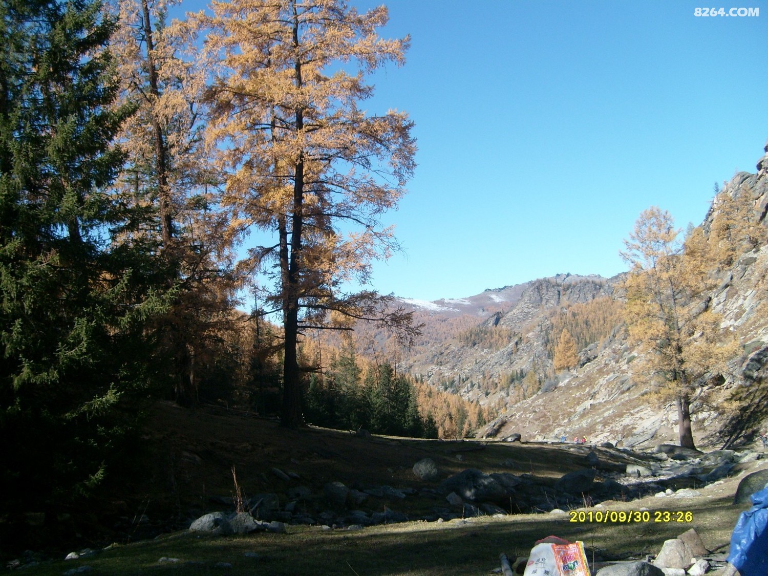 S7301196.JPG