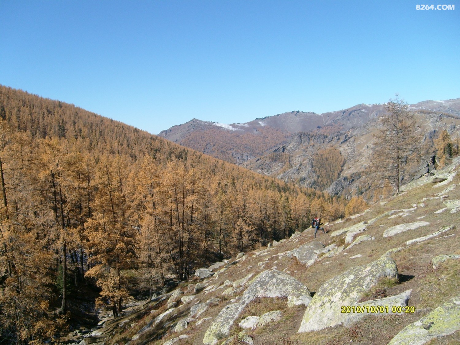 S7301200.JPG