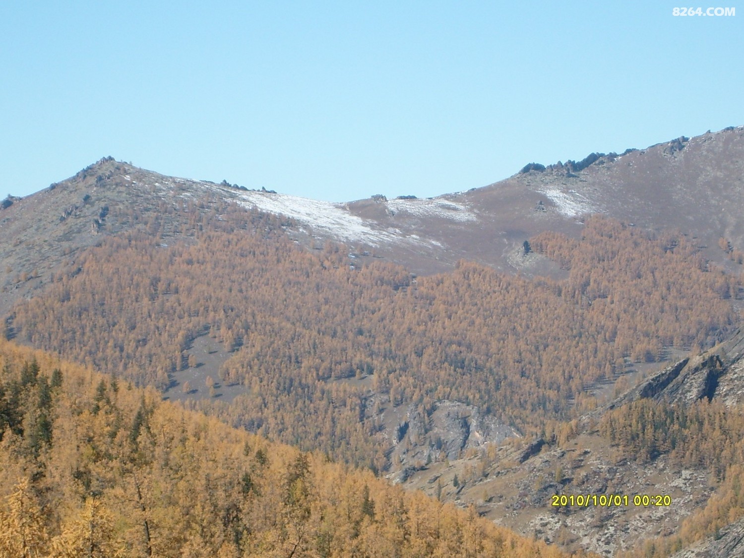 S7301201.JPG
