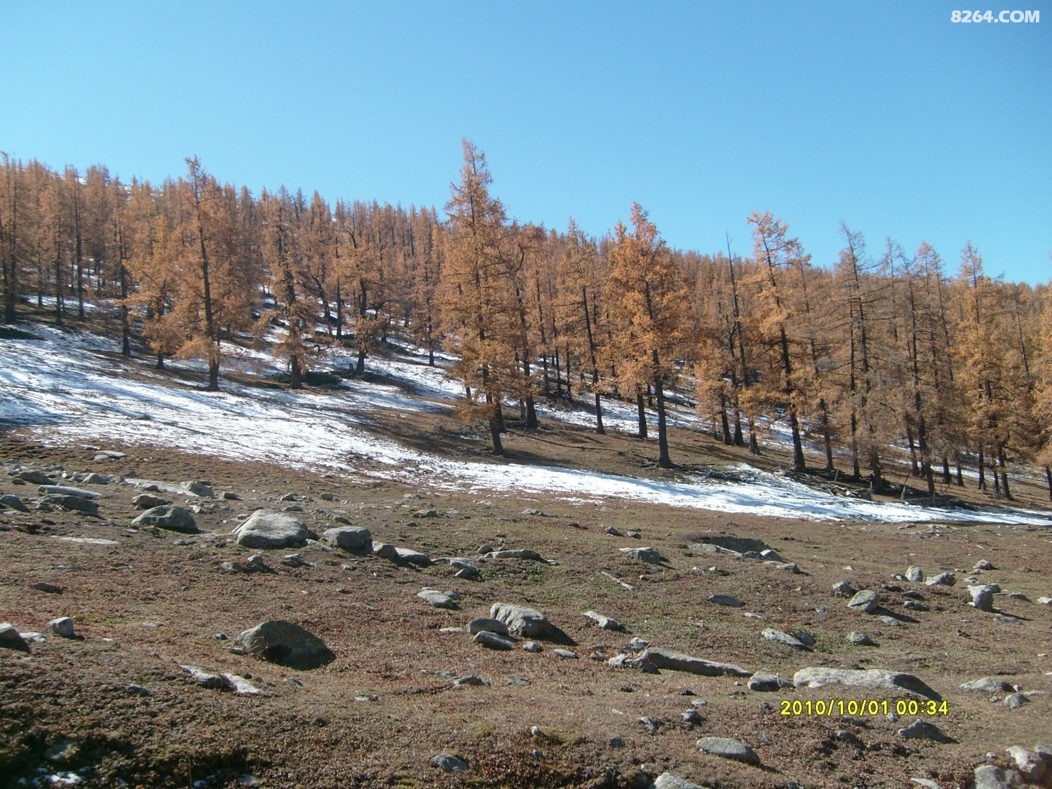 S7301207.JPG