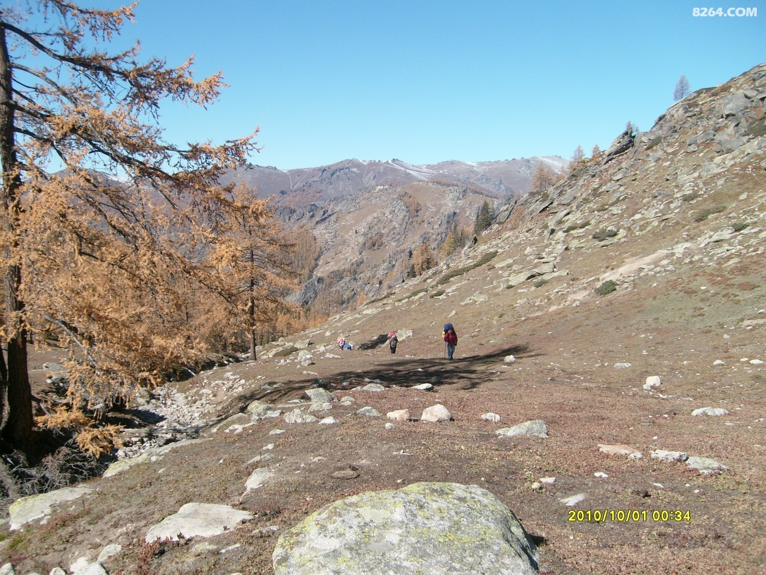 S7301208.JPG