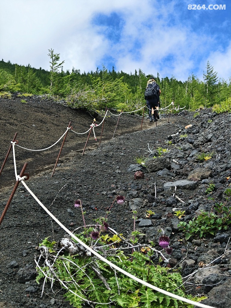 05.jpg