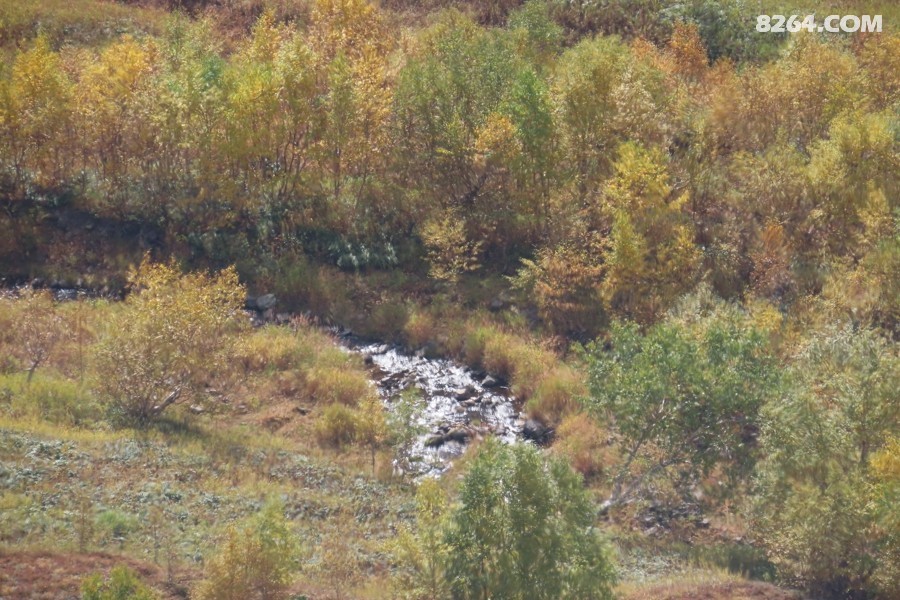 IMG_4793.jpg