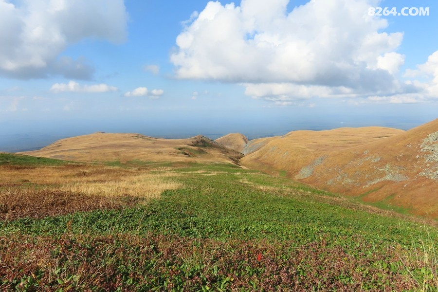 IMG_4822.jpg
