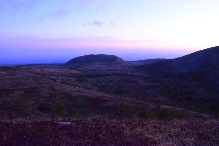DSC_0028.jpg