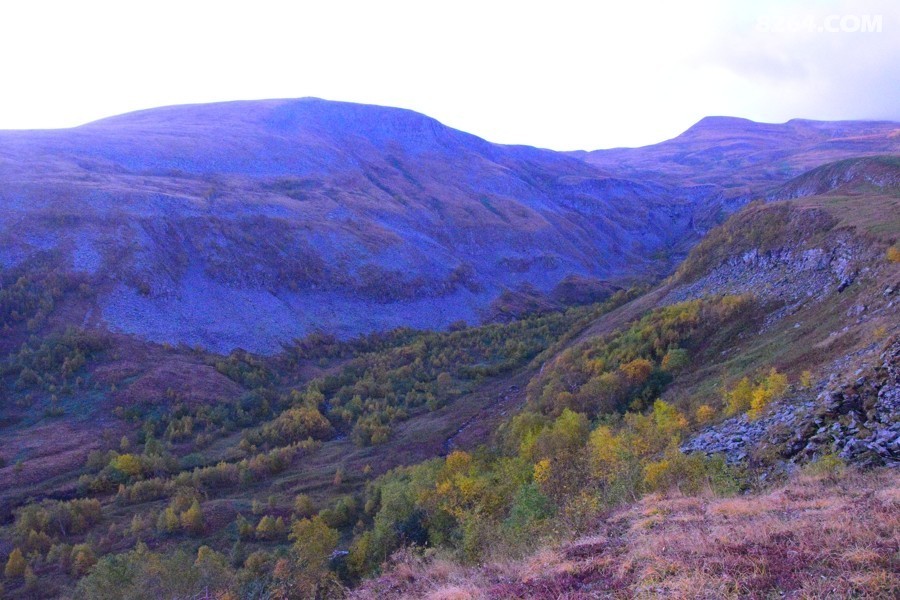 DSC_0032.jpg