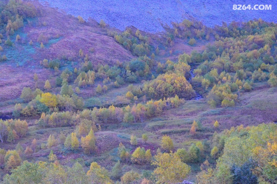 DSC_0033.jpg
