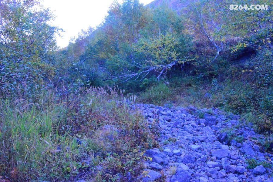 DSC_0042.jpg