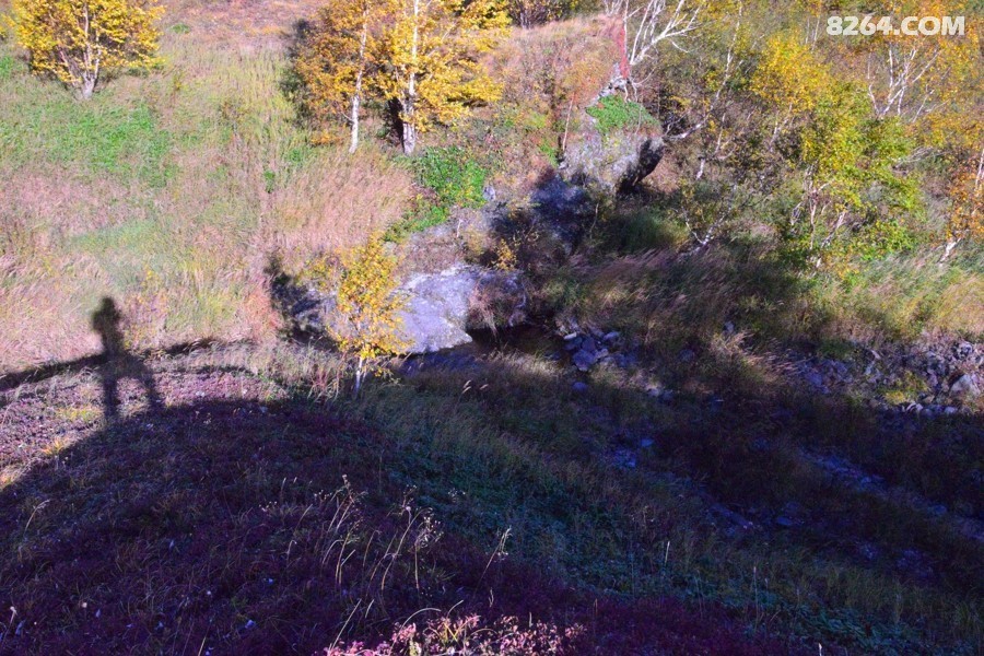 DSC_0044.jpg