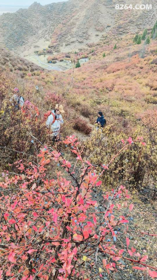 ½³ľ벨ʮһϮԴͽ,Сͬ/.,,ӷ.,־.ɷƱ.8:40ʼĩ925ɽҶȿ־Ⱦɽ촩Խ+Ӱͽλͽ2-8 80Ԫ/Ա70Ԫ 927ɽɽӴСȦߴԽͰֲ־Ⱦɫʰ+ϿٲӰ2-1370Ԫ/60Ԫ101ɽ̶ղԭͽ70/60102ɽͻͽ70/601034040ɽ128103ɽ̶ɽͽ85104ŶɽϿͽ70/60105ˮͽ108/98106ɽͽ70/60107Ŷɽͽ70/6010.17˫+3ؾɳĮ۾޲-С-ɳĮ·ȹ۹Ӱ438ԪȺԱ398Ԫͯ298ԪⴿƱԷ5ͯɳӪԤ10123CSˮǹʵս2681017CSս+2681023ſľɳĮ̻698105ɽ̨һѧ298106ţ,,ں,ժ޻,ũͶһΡ268ũƷ½һվʽ168,³98,.ɽ98,ɽϿ198,彭Ȫ99, ɿк,,,ɣ˹ľ,ʲ,һ999շƱػƱ:ݳʵ,Ʊ.շѴƱ·msӰǡؼƱ25,޳ʱ,ѡλз,±,ֽ5ҡǧ򡷡Ұά˹ء彭Ȫ˿·ϷСӡ8264ܡ:/Ե/һ/񡣽̹://˲΢/18016857837/15299492681-ƺӪַմôŽ,߻,֯,ִ.ӭֺ.ŽӪؿʼԤԼ, ϶Ա,,DIY-տ-ӪӭCSԿ߶ԿѹϷCSˮǹս,ʵѹϷCSԿ,ѹϷԼҹԢ,·㿤ԭ,40ƽ,,жװ޼ҵ32.23ȫתá