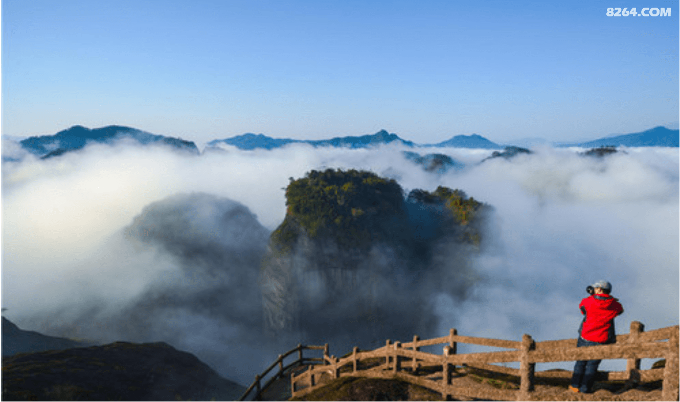 e503ae20ca4324cf36bb492c48b4984.png