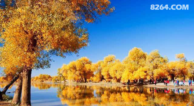 ½³ľ벨ⱾܻϮԴͽ,Сͬ/.,,ӷ.Ʊ.8:40ʼ,Ȫ4ϰŽ͡ûһͽ,ȥϽ1:10.24/25/26˫+3Ͻؾͽ-޲-С-ɳĮ·ȹ۹Ӱ438ԪȺԱ398Ԫͯ298Ԫⴿ,ƱԷѱصϽƼ1024ִ̨ͳΣ޲˴կ,˹ں,ȸ,648Ԫ.51024ִ̨ͳ4780Ԫ1022/29ջζɽ/  ,ľɳĮ ,ɽ, 398Ԫ5գ1.2¶ͯ208Ԫ,ѣ4ס޺磬,Ʊ䳵.1024ľ298½һվʽ챨,絼δ138,³98,.ɽ98,ɽϿ198,,,˹ľ2480,ʲ,һ999.շƱؼƱ·msӰ,20,޳ѡλǧ򡷡Ұά˹18ʱ彭Ȫϴԡ24ʱСӡ8264ܡ:/Ե/һ/񡣽̹://˲΢/18016857837/15299492681/ƺӪַմôŽ,߻,֯,ִ.ӭֺ.ҵŽӪ-ʼԤԼ, ϶Ա,,DIY-տ-Ӫ.CSԿ,ˮǹս,ԿѹϷ.Լ2¥,·㿤ԭ,40ƽ,װ޼ҵ32.23ȫתá̫ԭ·԰9¥109ƽ/105ȫת.