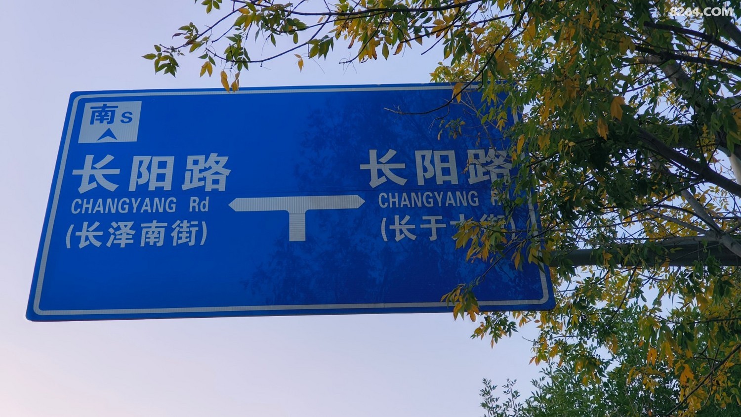 IMG20251019064812.jpg