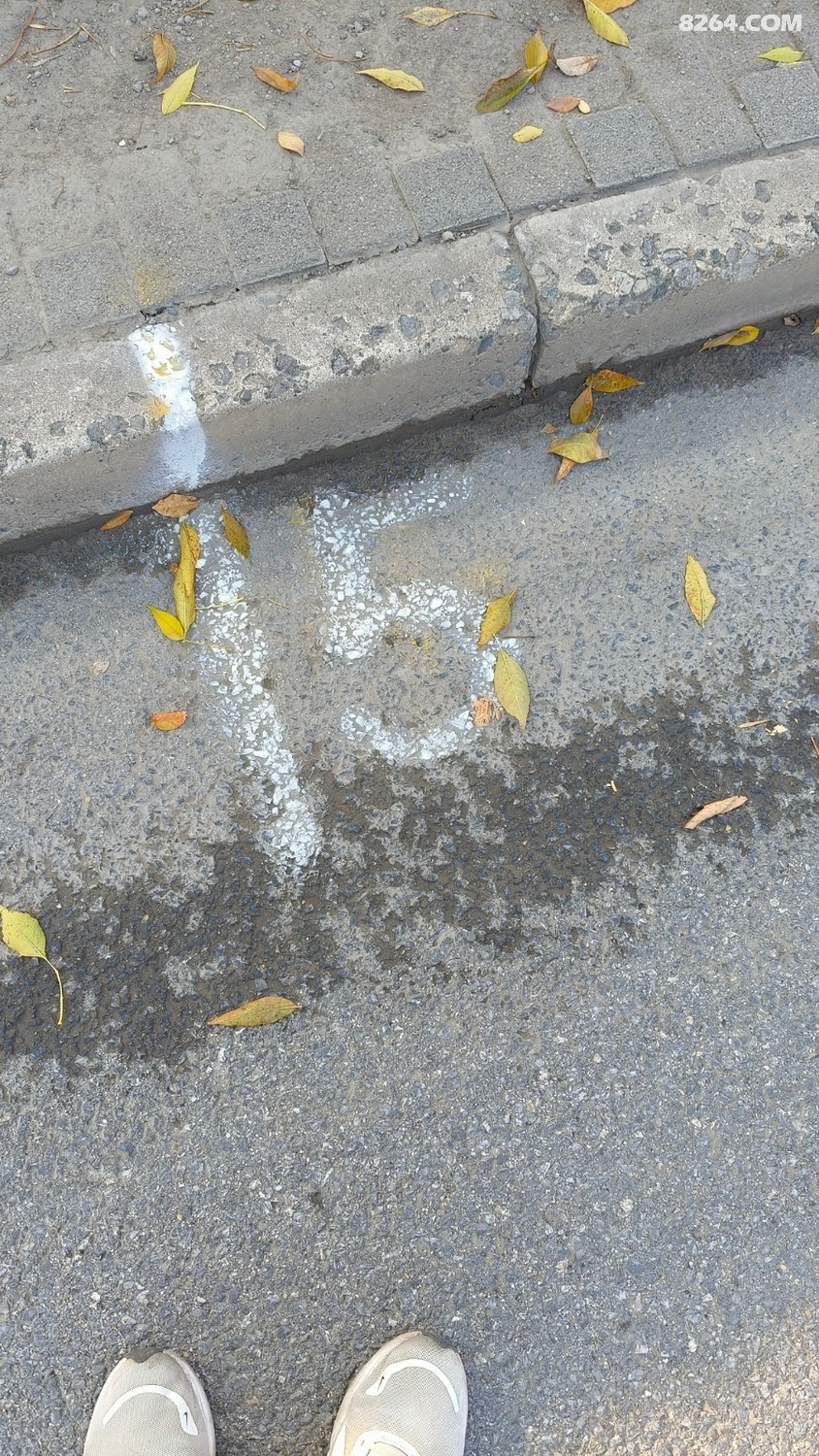 IMG20251025143200.jpg