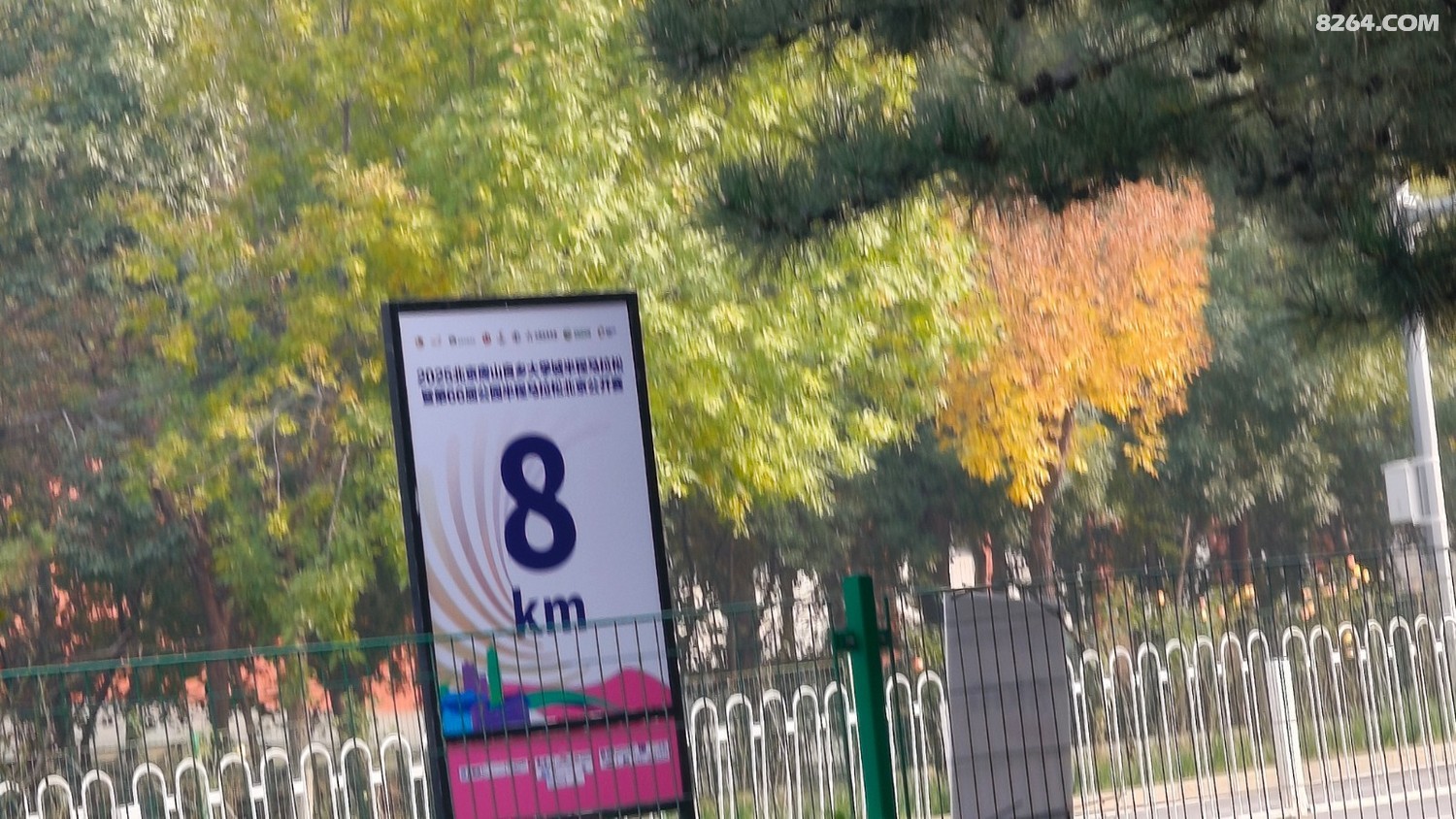 IMG20251025145110.jpg