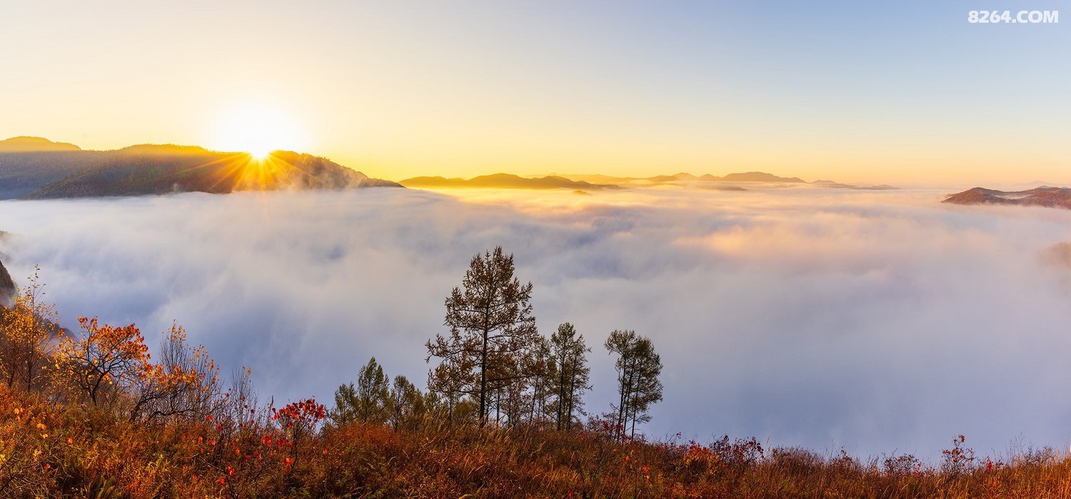 _96A1009-Pano-1 .jpg