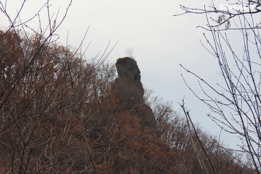 IMG_7183.jpg
