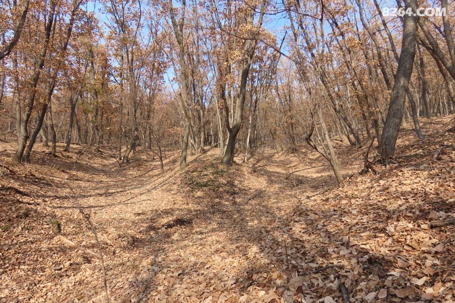 IMG_7246.jpg