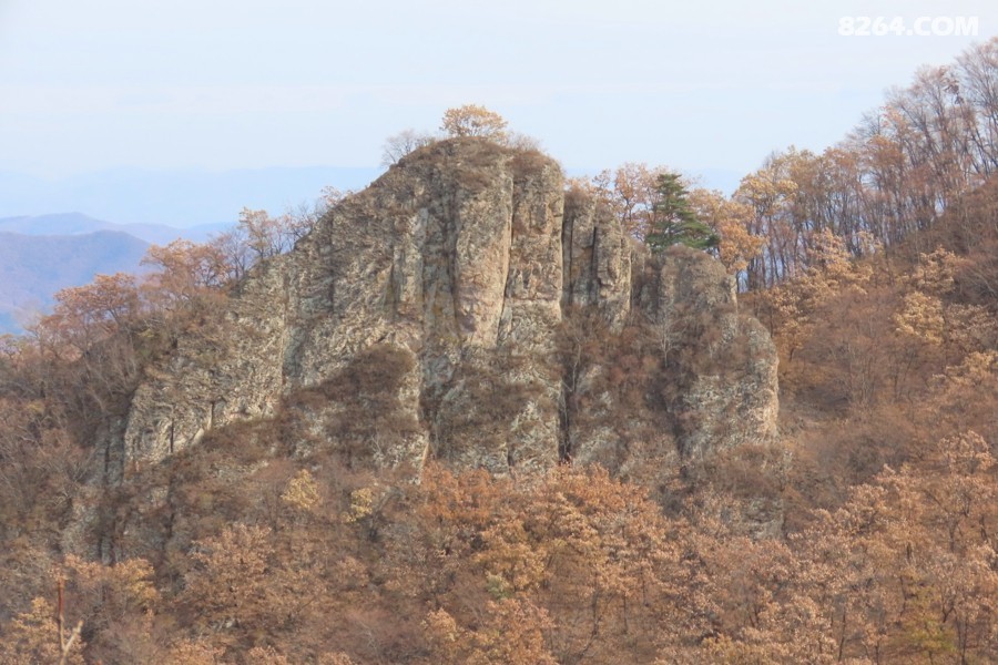 IMG_7256.jpg
