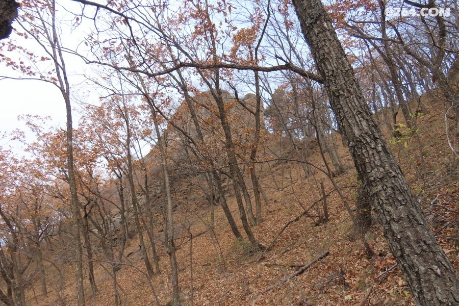 IMG_7270.jpg