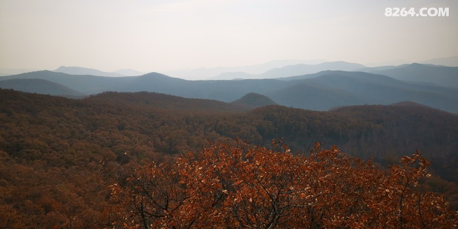 IMG_20251101_121953.jpg