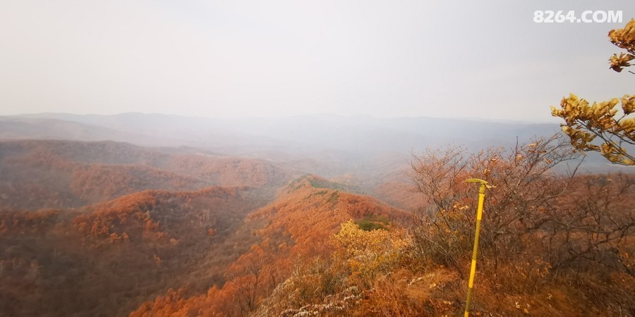 IMG_20251101_120555.jpg