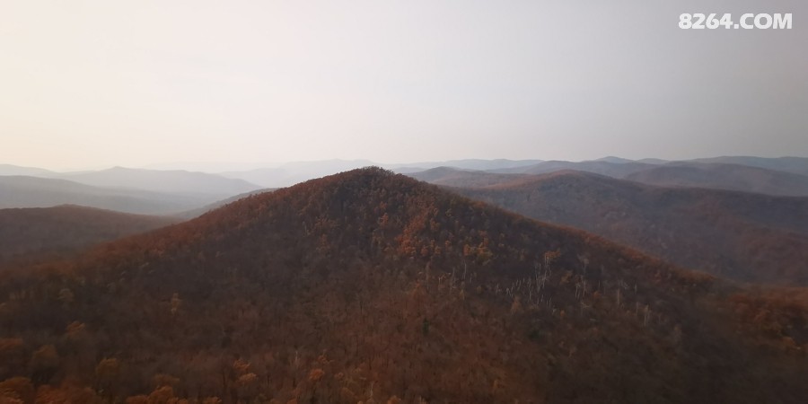IMG_20251101_120547.jpg