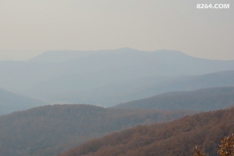 IMG_7302.jpg