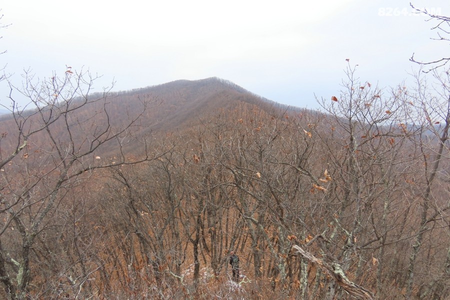 IMG_7643.jpg