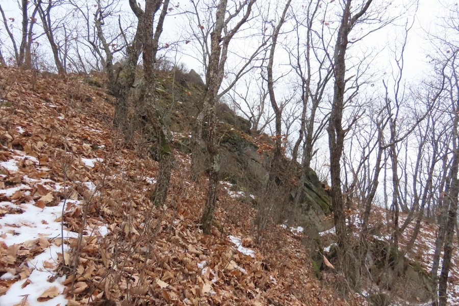 IMG_7647.jpg