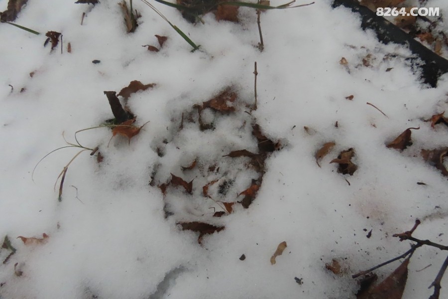 IMG_7688.jpg