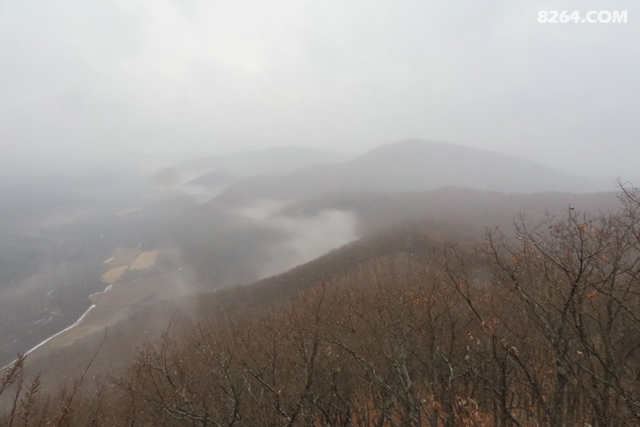 IMG_7732.jpg