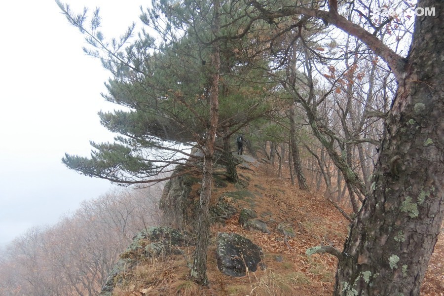 IMG_7726.jpg
