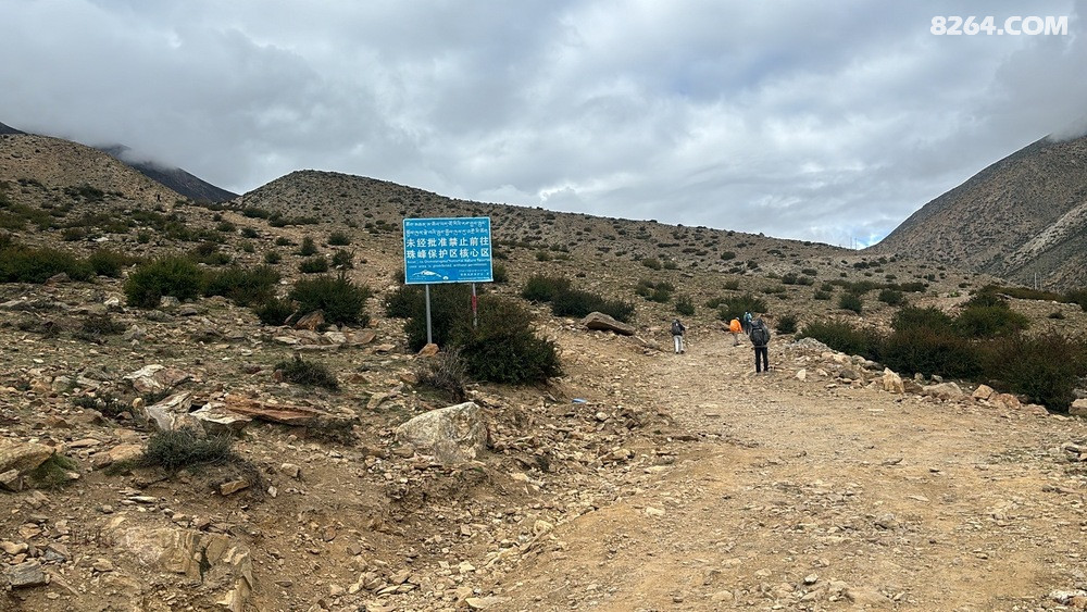 ������ͽ�����