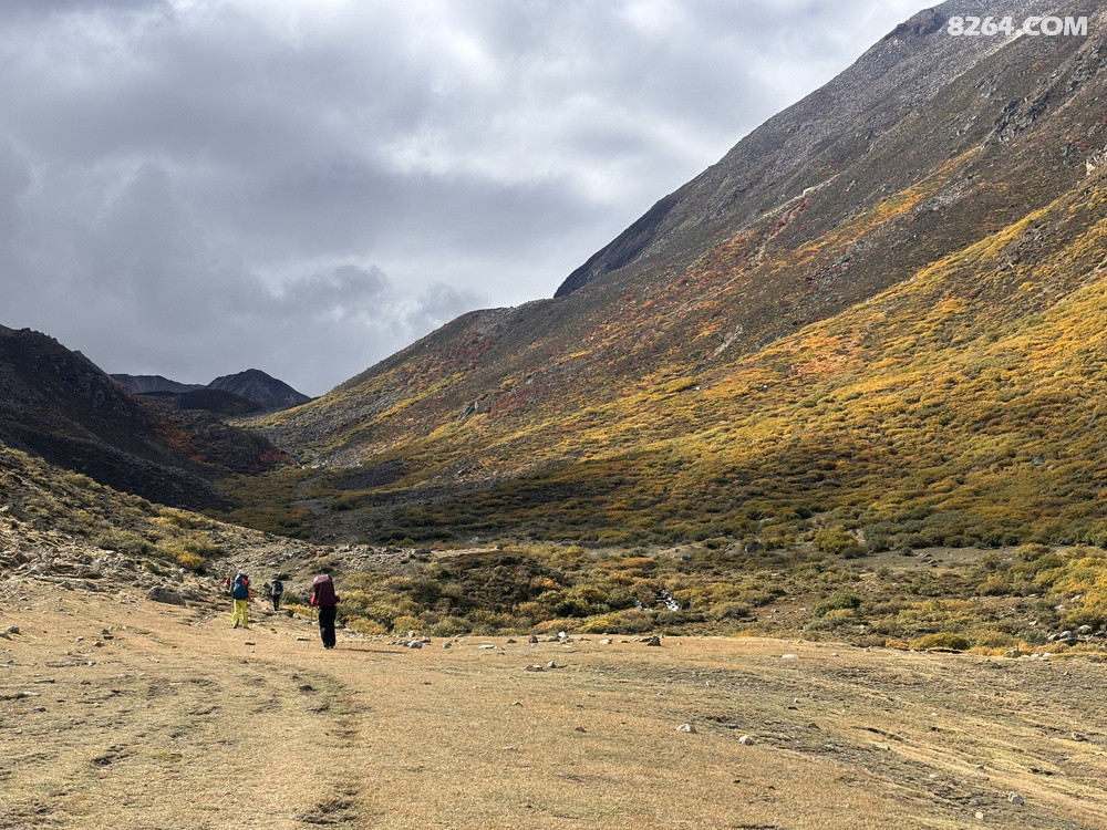 һ·�϶�����