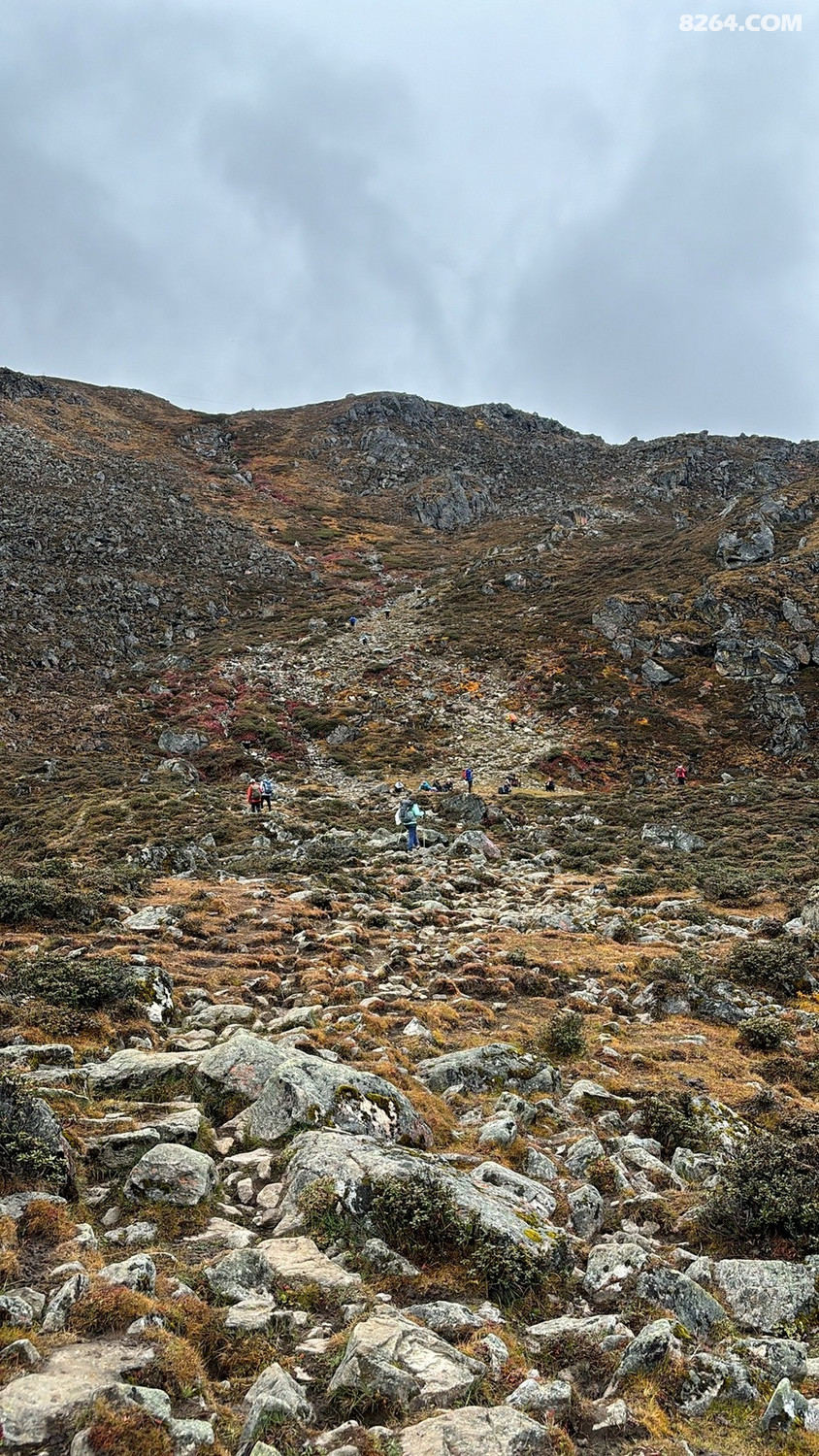 ����ڵ���