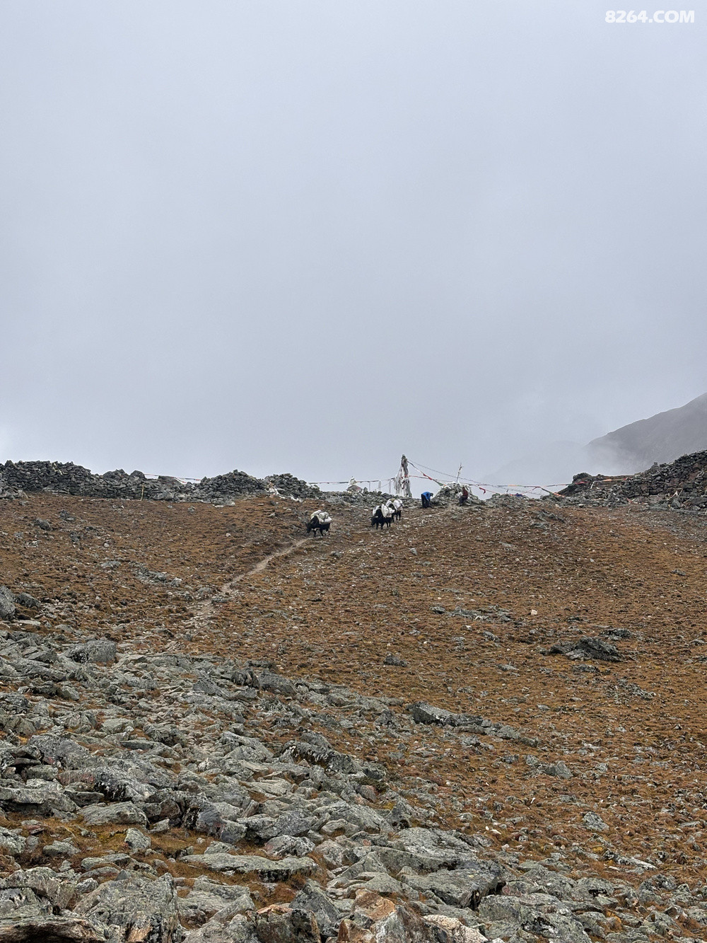 ţţҲ������