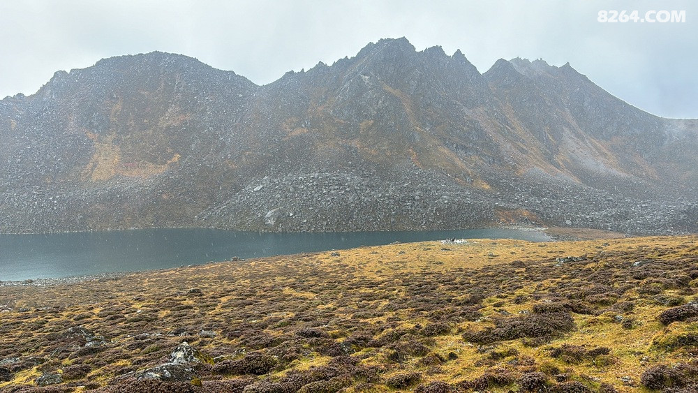 �����ڴ�